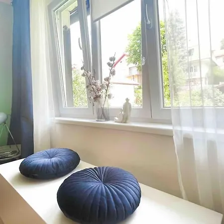 Modern *old Town* * Saraybosna